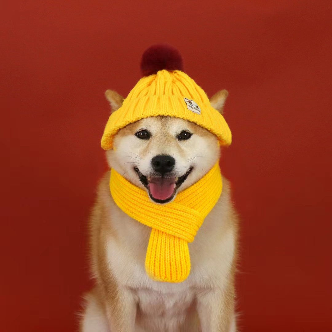 Knitted Pom Pom Hat for Dogs – Red