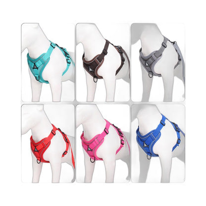 Reflective Mesh Harness & Leash Set
