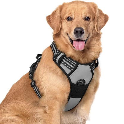 No-Pull Mesh Dog Harness