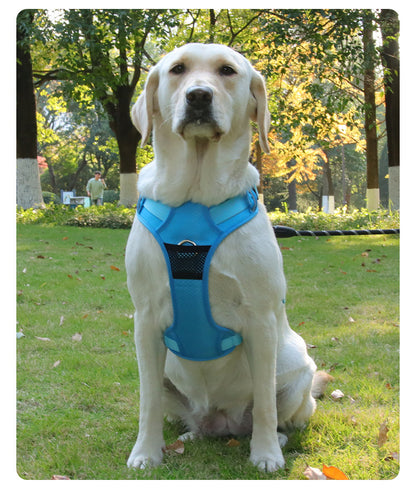 Reflective Mesh Dog Harness