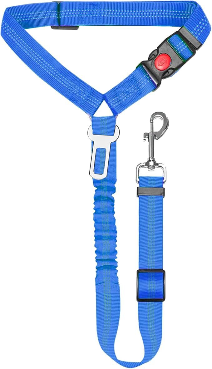 Elastic Bungee Safety Leash for Dogs – Multi-color
