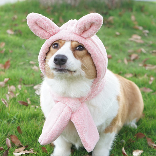 Bunny Ear Plush Dog Hat