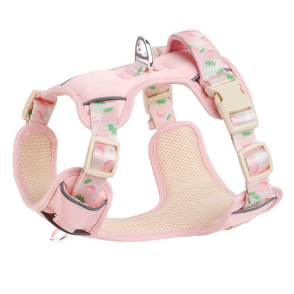 Floral Harness & Leash Set