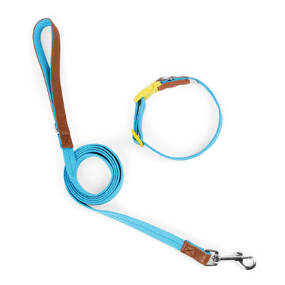 Two-Tone Dog Accessory Set for Dogs – Multi