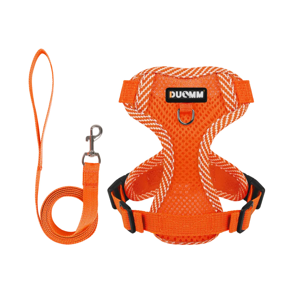 Reflective Mesh Harness & Leash Set