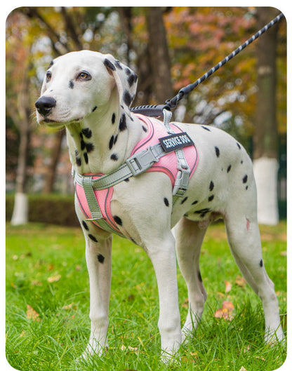 Reflective Harness & Leash Set