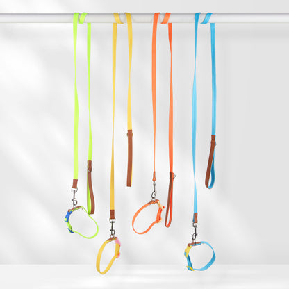 Two-Tone Dog Accessory Set for Dogs – Multi