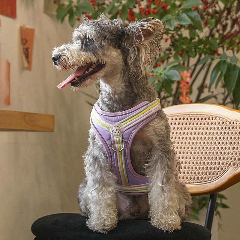 Macaron Striped Dog Harness for Dogs – Multicolor