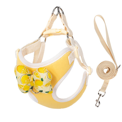 Fruit Pattern Harness & Leash Set