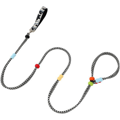 Integrated Training Dog Leash for Dogs – Purple