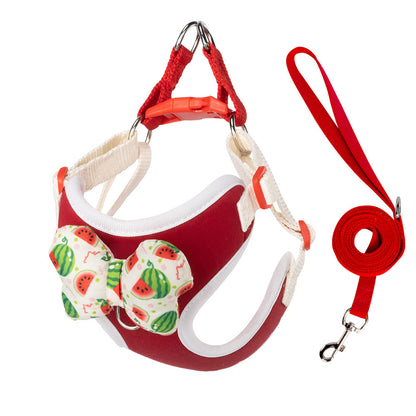 Fruit Pattern Harness & Leash Set