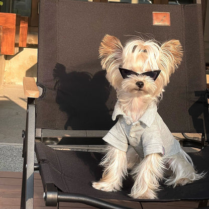 Triangle Hip-Hop Dog Birthday Accessory for Dogs – Black