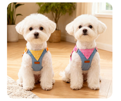 Denim & Gingham Harness & Leash Set