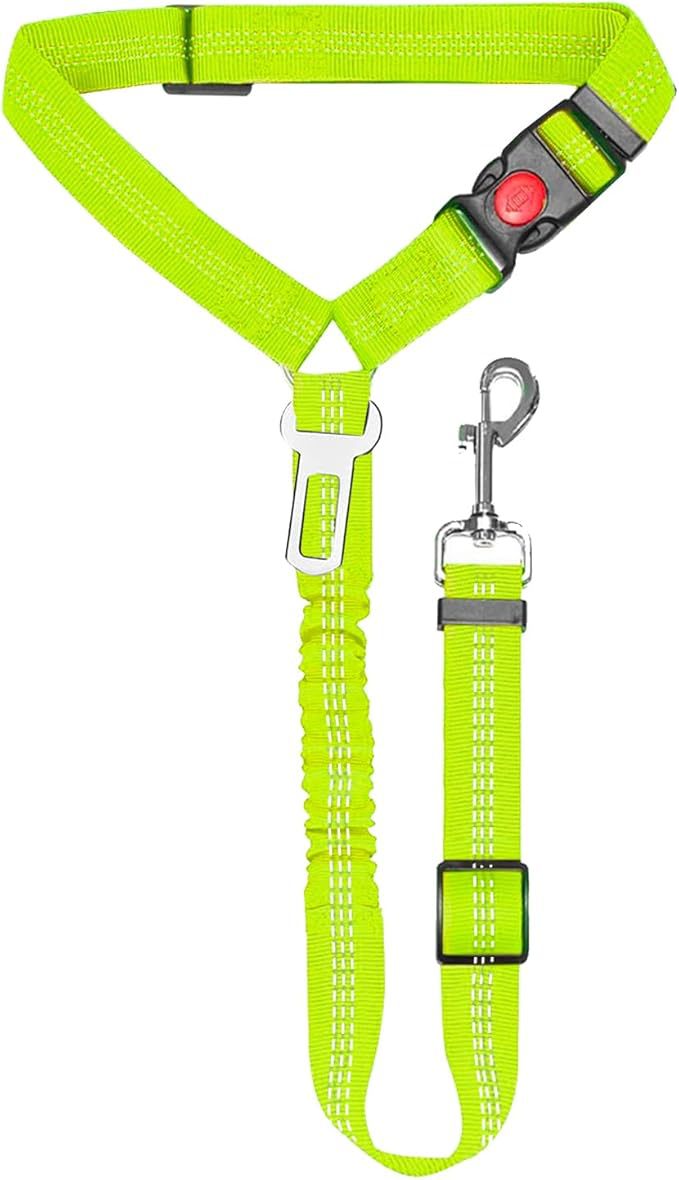 Elastic Bungee Safety Leash for Dogs – Multi-color