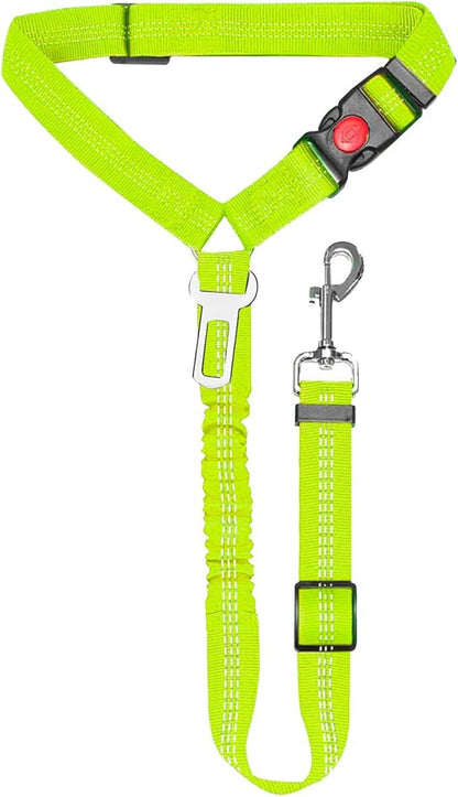 Elastic Bungee Safety Leash for Dogs – Multi-color