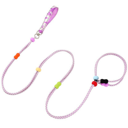 Integrated Training Dog Leash for Dogs – Purple