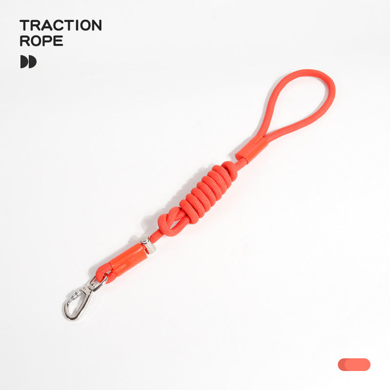 Braided Slip Lead Dog Leash for Dogs – Multi