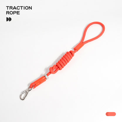 Braided Slip Lead Dog Leash for Dogs – Multi