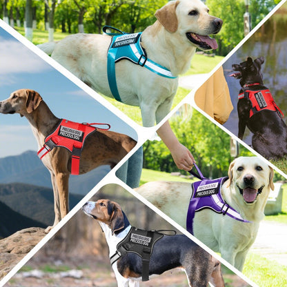 Reflective No-Pull Dog Harness for Dogs – Black