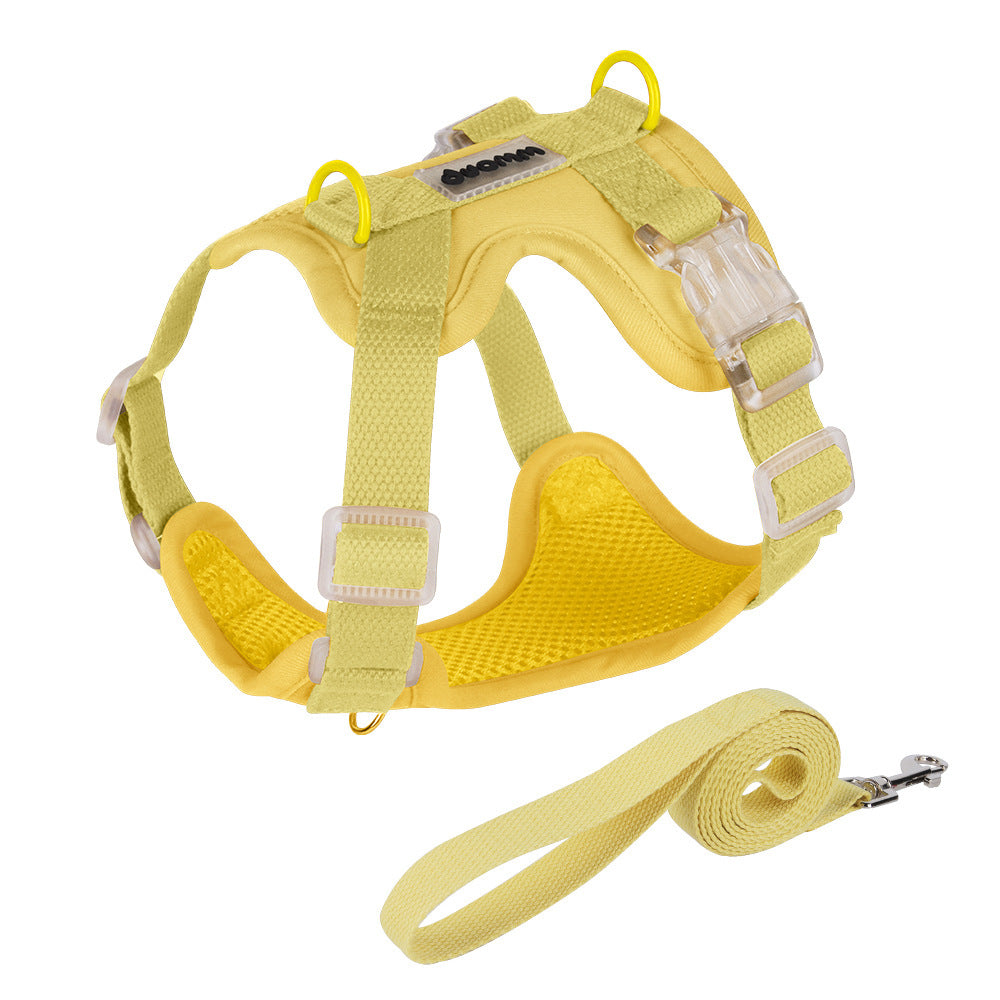 Breathable Mesh Harness & Leash Set