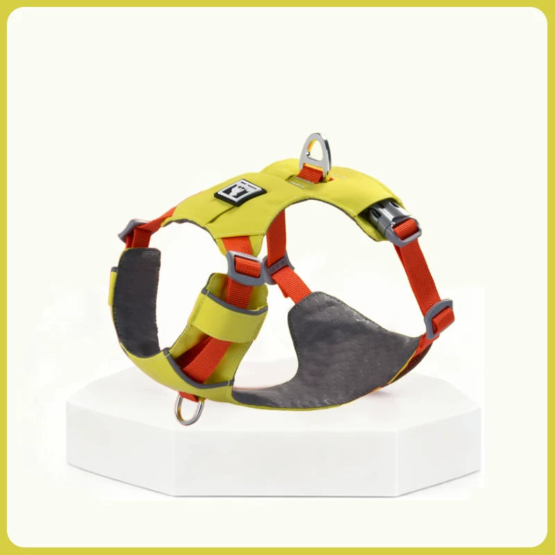 Lightweight Breathable Harness & Leash Set