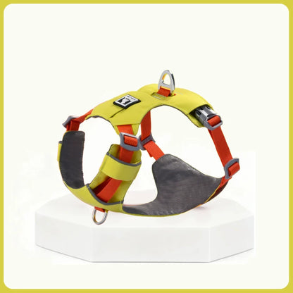 Lightweight Breathable Harness & Leash Set