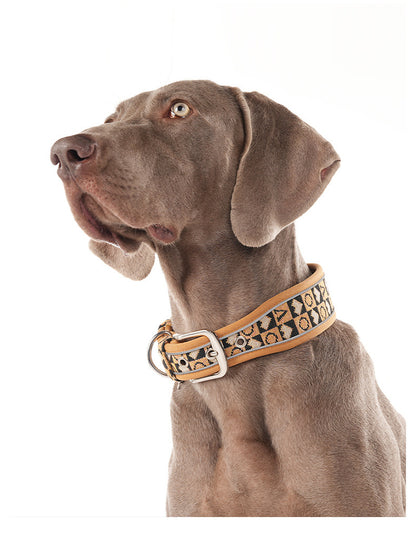 Reflective Wide Padded Dog Collar