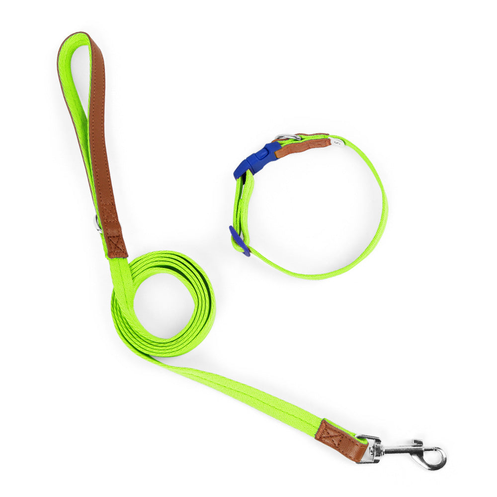 Two-Tone Dog Accessory Set for Dogs – Multi