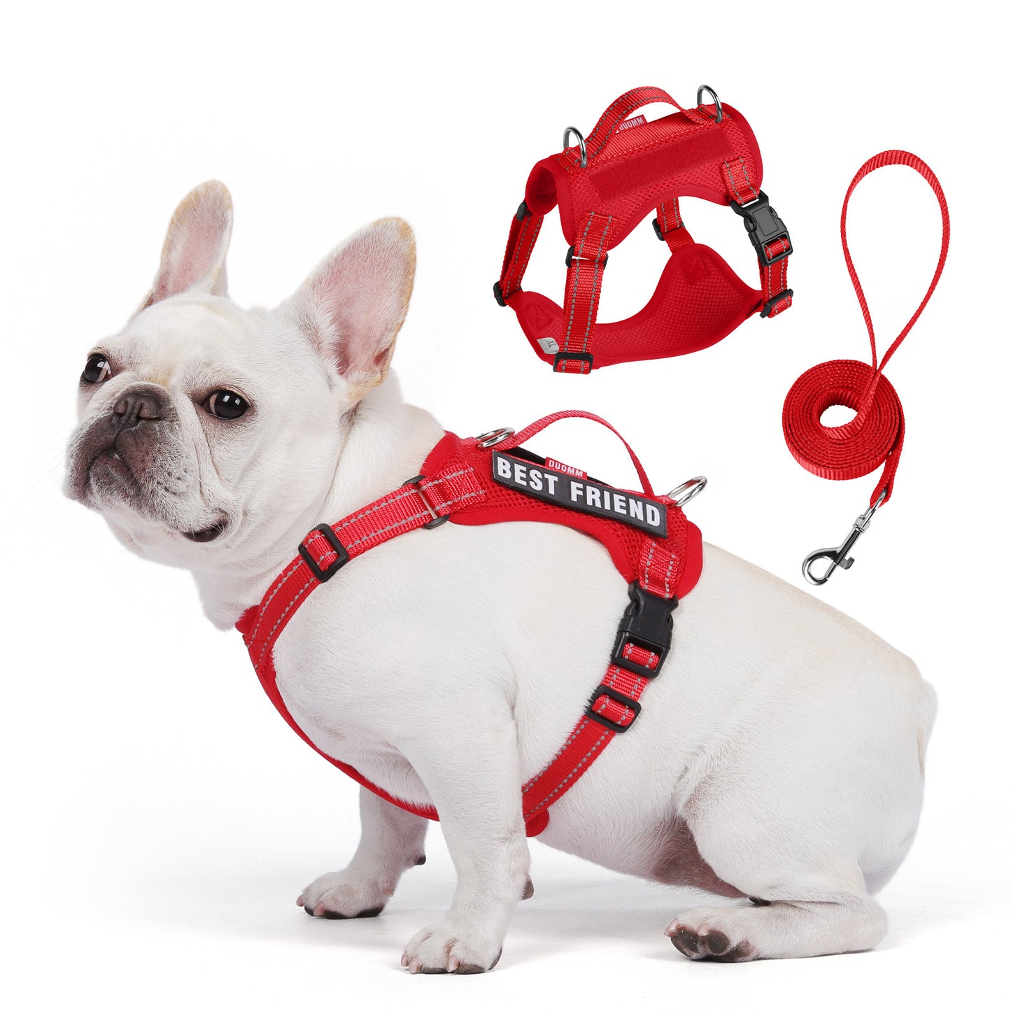 Reflective Mesh Harness & Leash Set