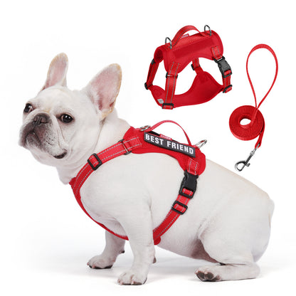 Reflective Mesh Harness & Leash Set