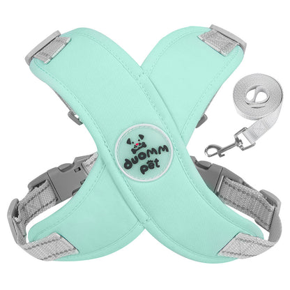 Reflective Mesh Harness & Leash Set