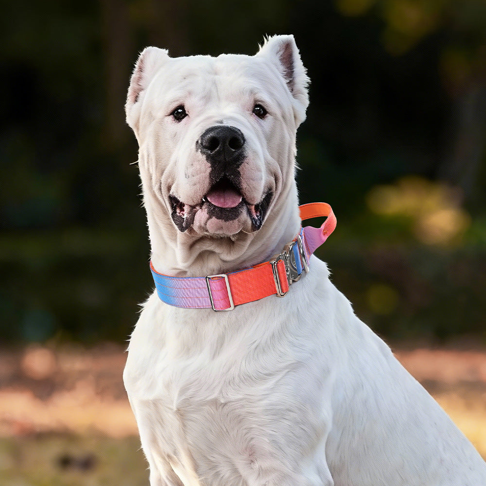 Gradient Tactical Collar & Leash Set
