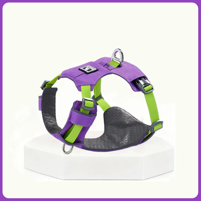 Lightweight Breathable Harness & Leash Set