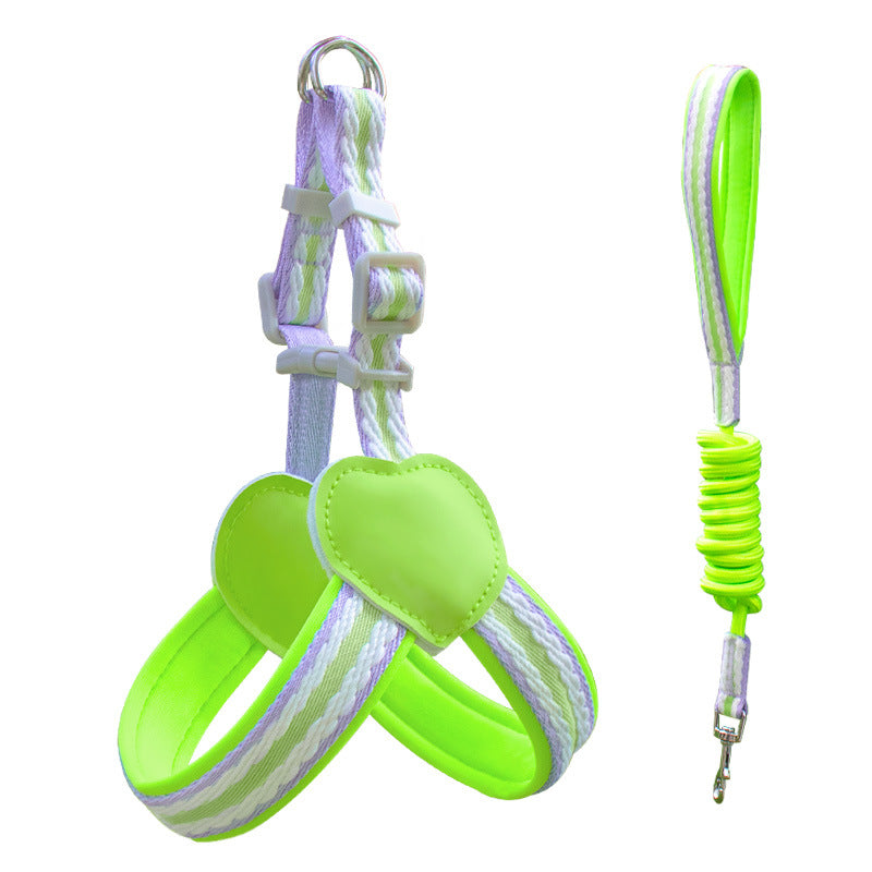 Striped Neoprene Harness & Leash Set