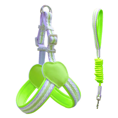 Striped Neoprene Harness & Leash Set