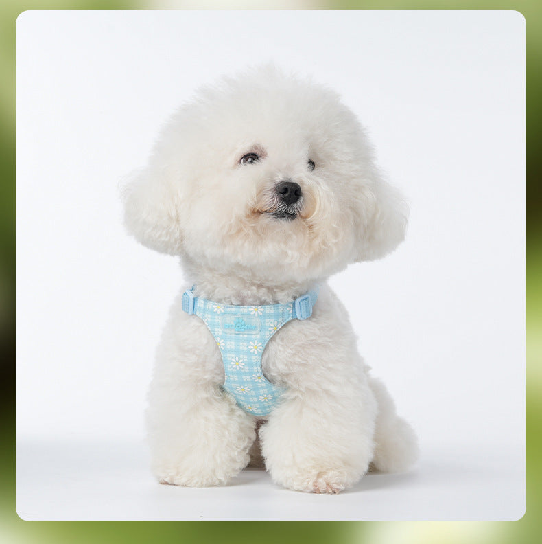 Daisy Plaid Harness & Leash Set