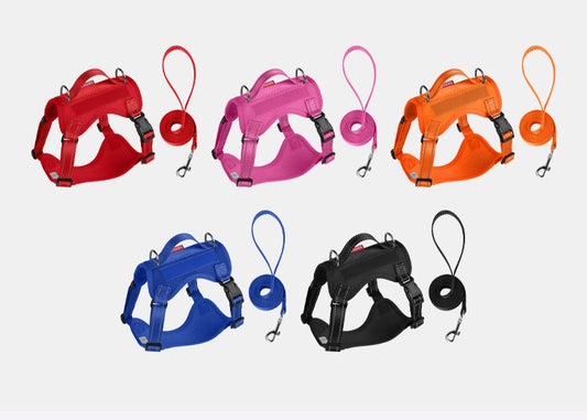 Reflective Mesh Harness & Leash Set