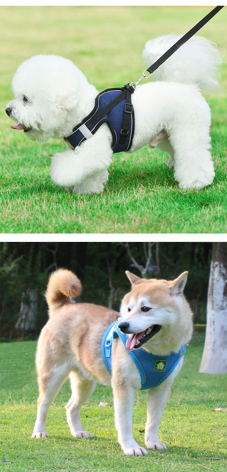 Reflective Mesh Harness & Leash Set