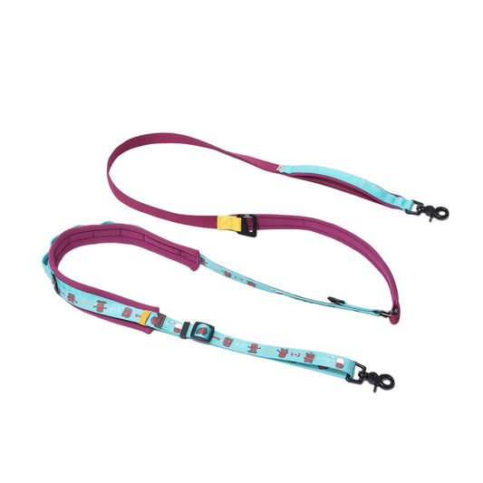 Multi-functional  Dog Leash