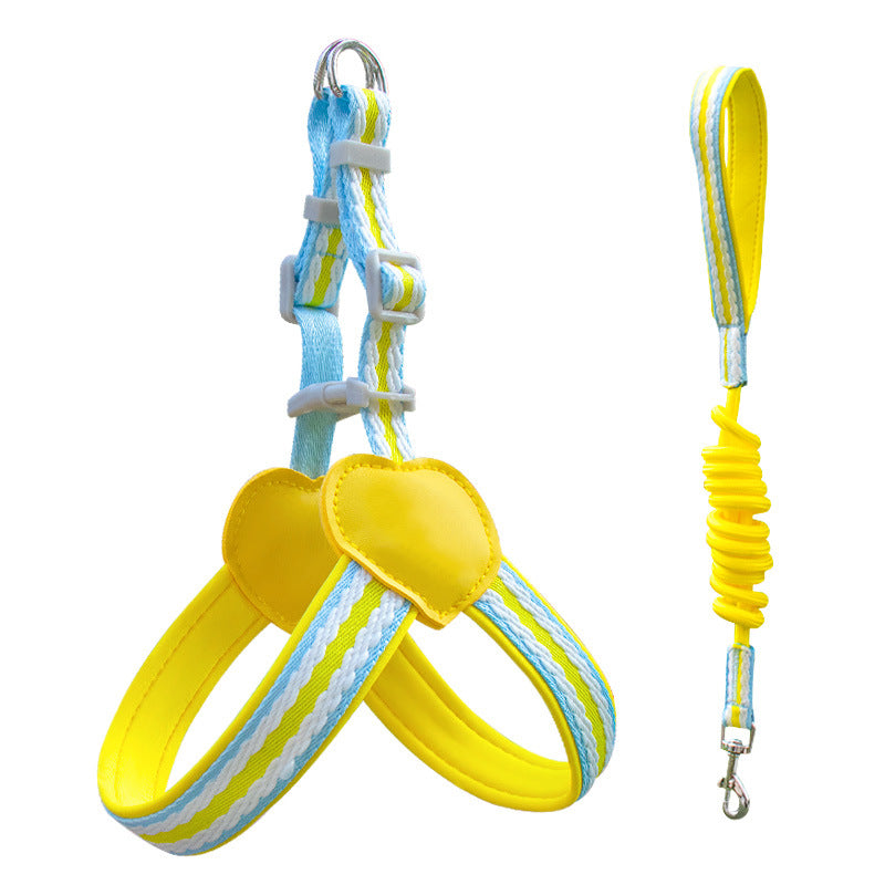 Striped Neoprene Harness & Leash Set