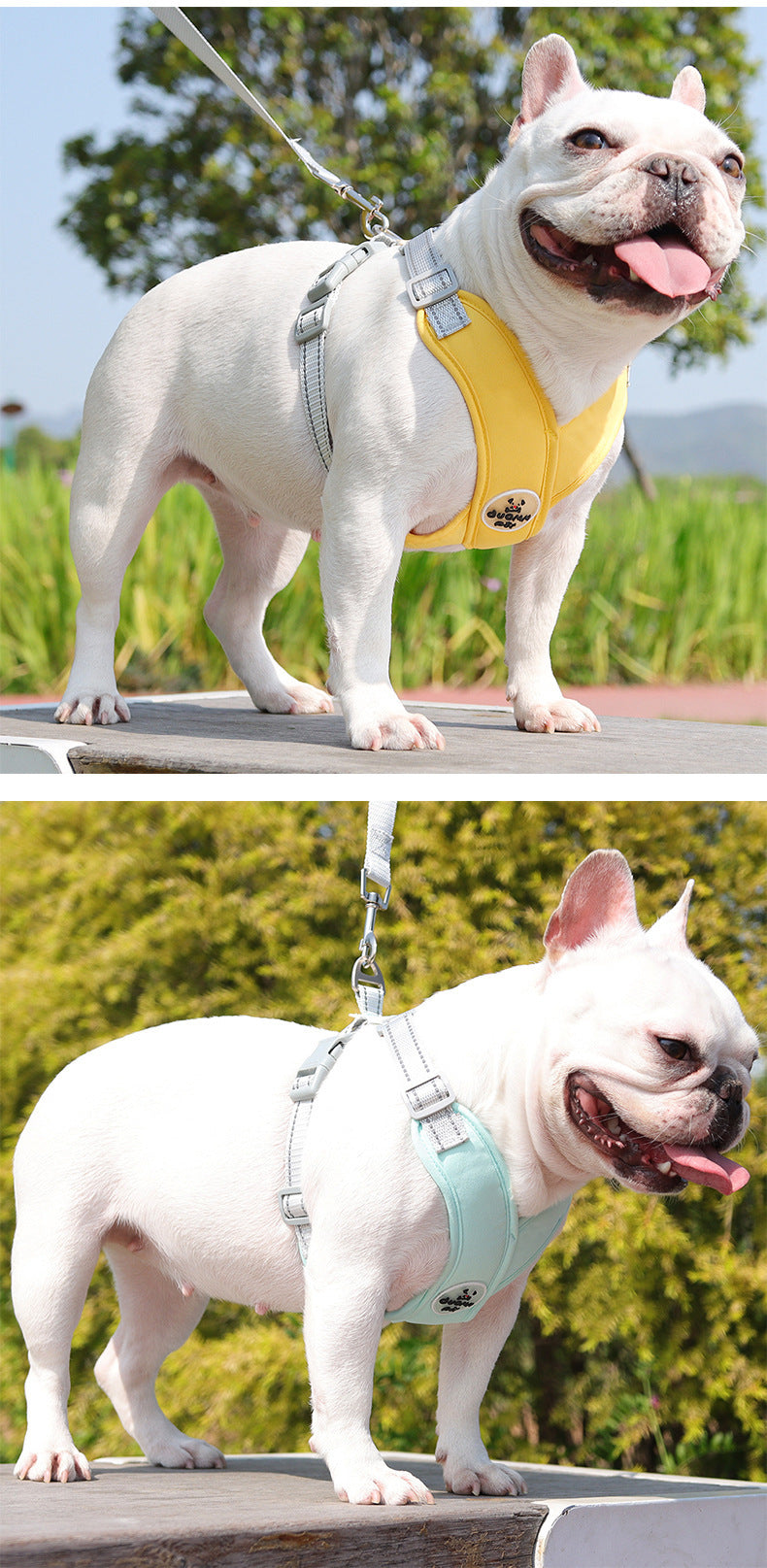 Reflective Mesh Harness & Leash Set