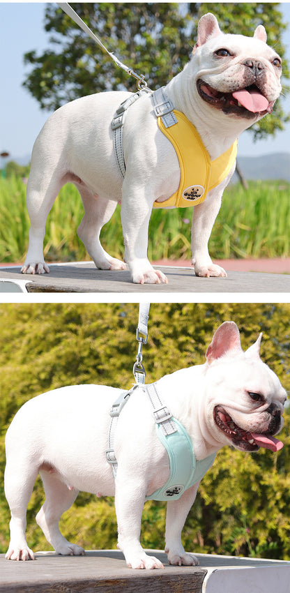Reflective Mesh Harness & Leash Set