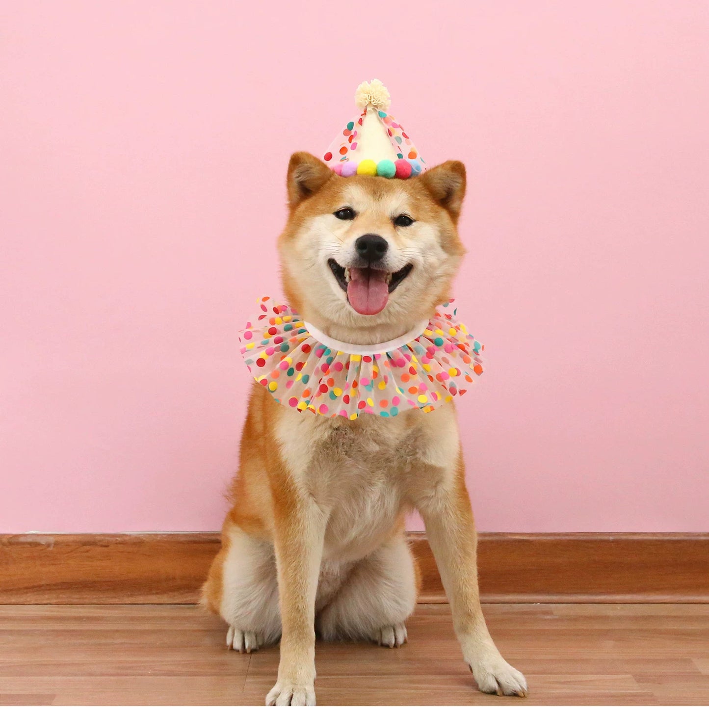 Colorful Polka Dot Dog Accessory Set for Dogs – Colorful
