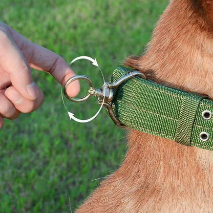 Heavy Duty Nylon Dog Collar for Dogs – Army Green