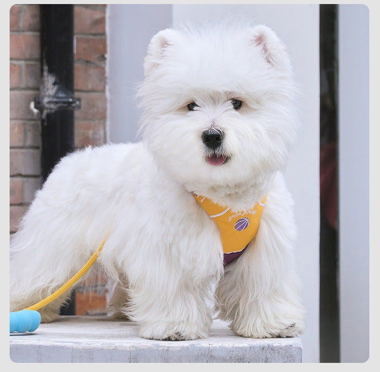 Sports Print Harness & Leash Set