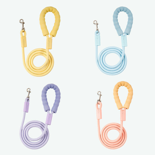Braided Nylon Dog Leash for Dogs – Multi