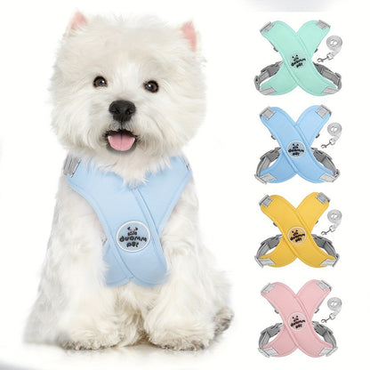 Reflective Mesh Harness & Leash Set