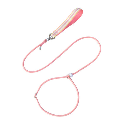 Adjustable Slip Lead Dog Leash
