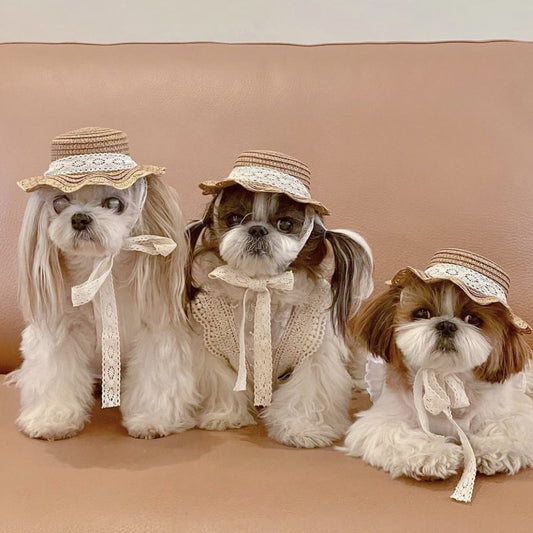 Pastoral Straw Dog Hat for Dogs – Khaki
