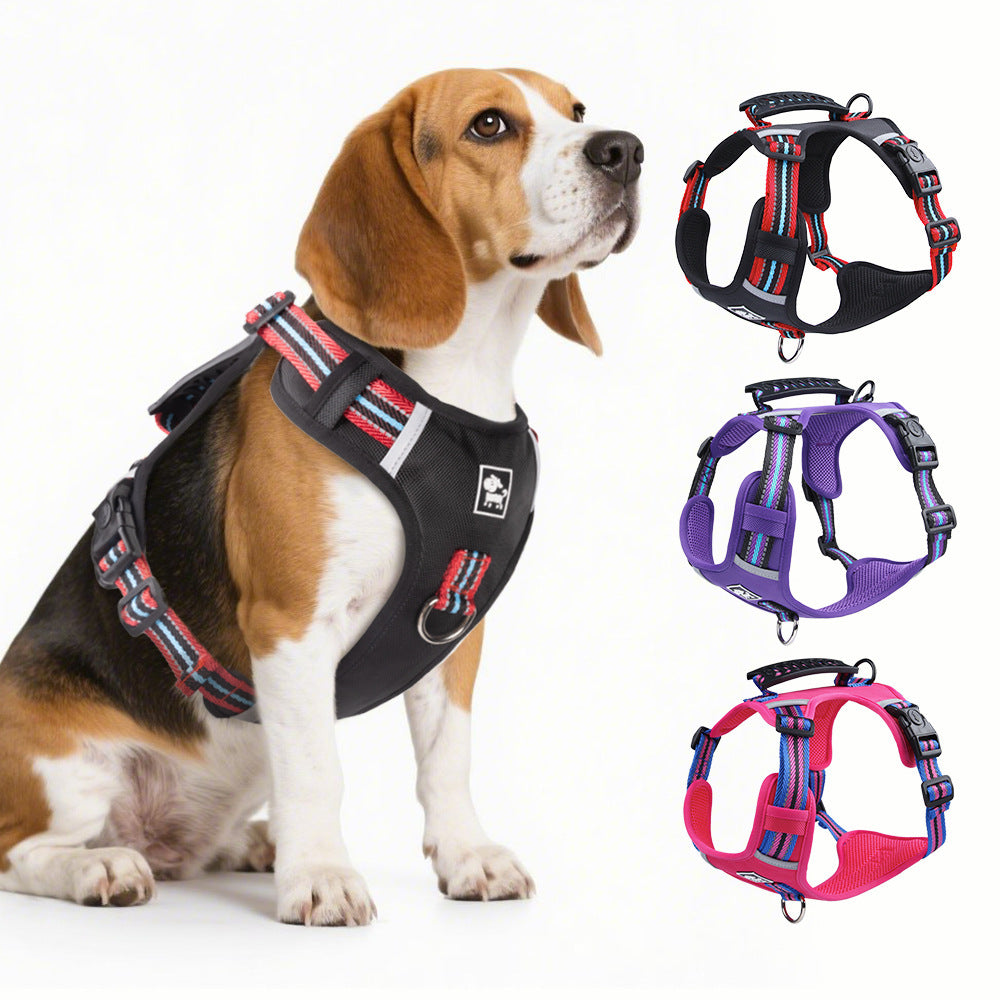 Reflective Harness & Leash Set